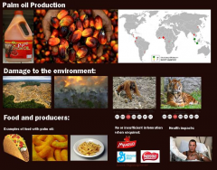 Palm oil production