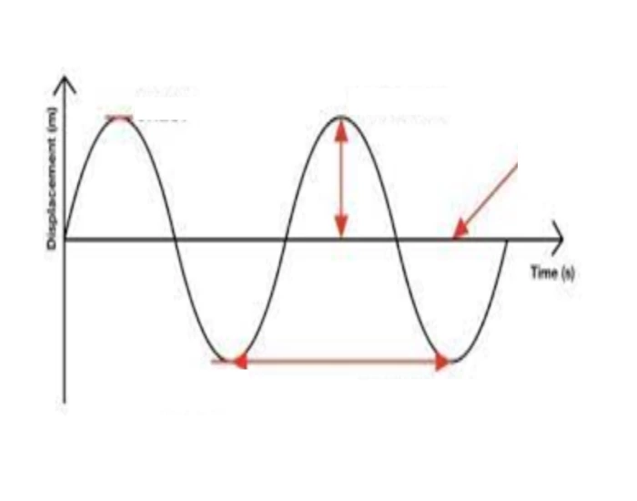 transverse-wave-quiz