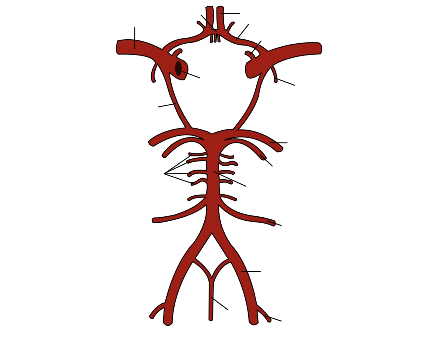 blood-flow-to-brain-printable-worksheet