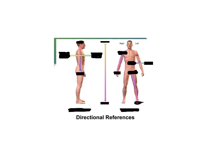 Directional References Quiz