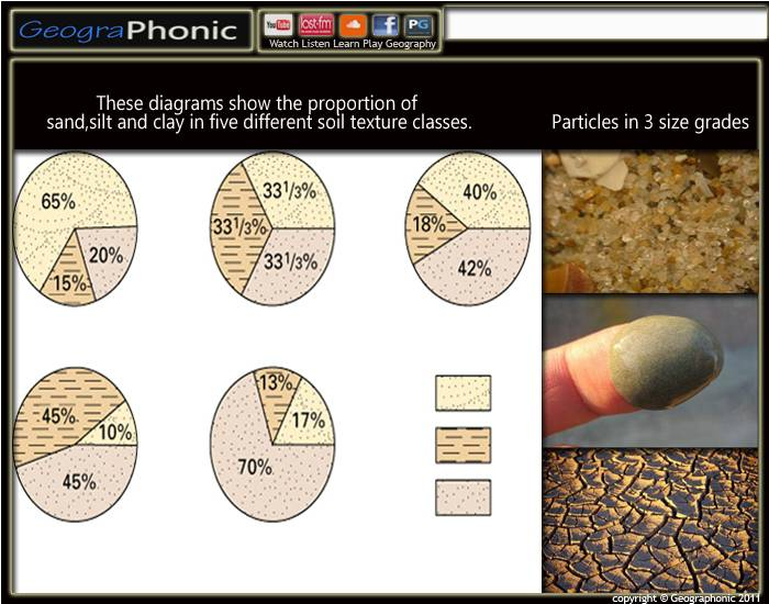 Trivia Texture Soil Textures | Quiz