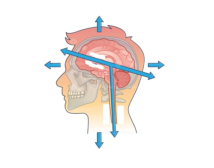 Directional Terminology of the Head Quiz