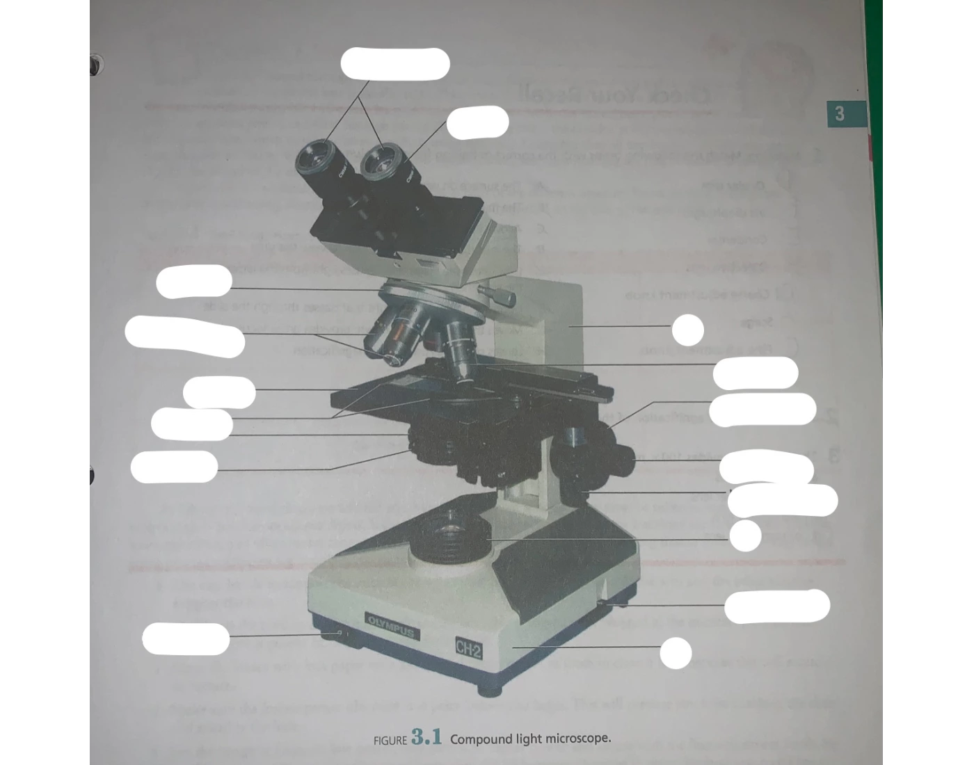labeling a microscope Quiz