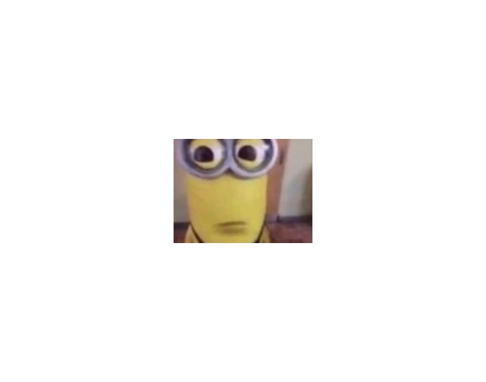 minion Quiz