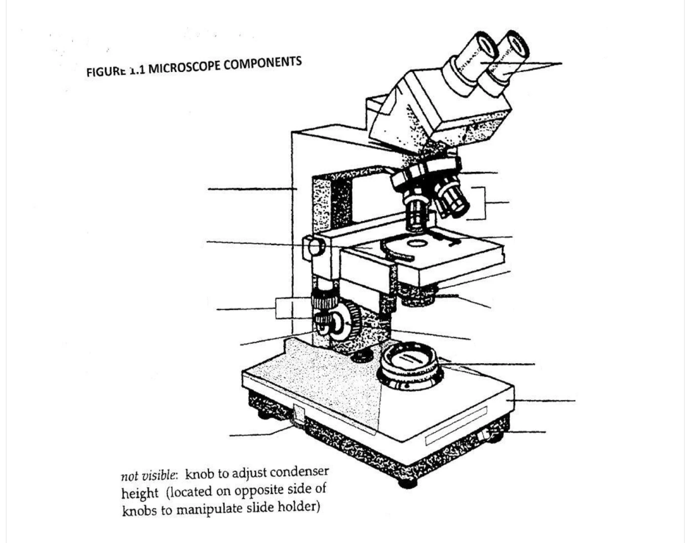 Microscope Parts Quiz