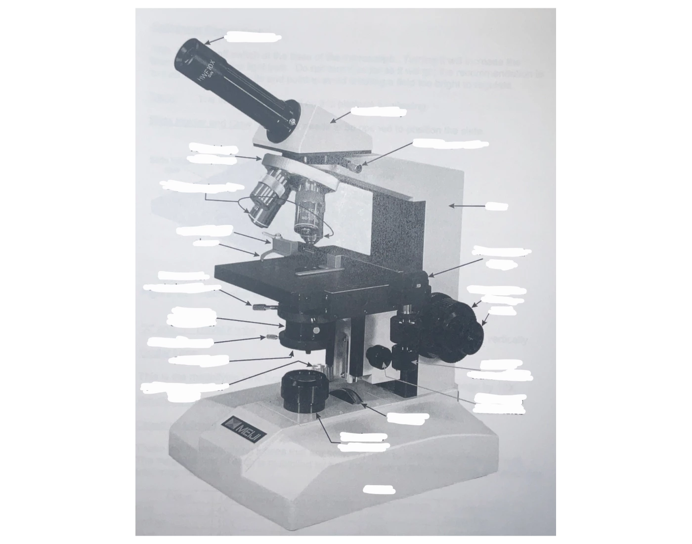 Microscope Matching Quiz