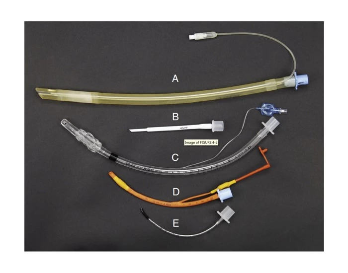 Tube Types Types of Endotracheal tubes — Printable Worksheet