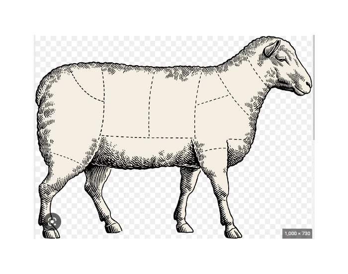 Sheep With Labels Label the sheep Quiz