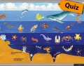 Glossary for Oceanography | Quiz (21 - 40)