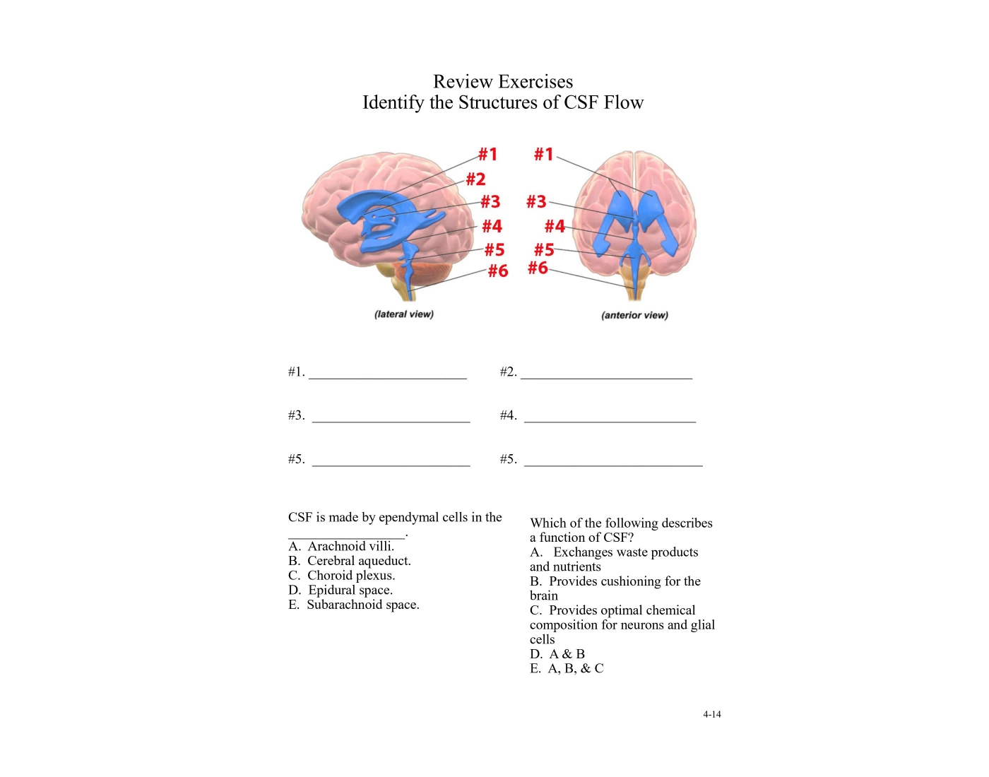 Csf Flow Structures Quiz Csf Flow Structures Quiz