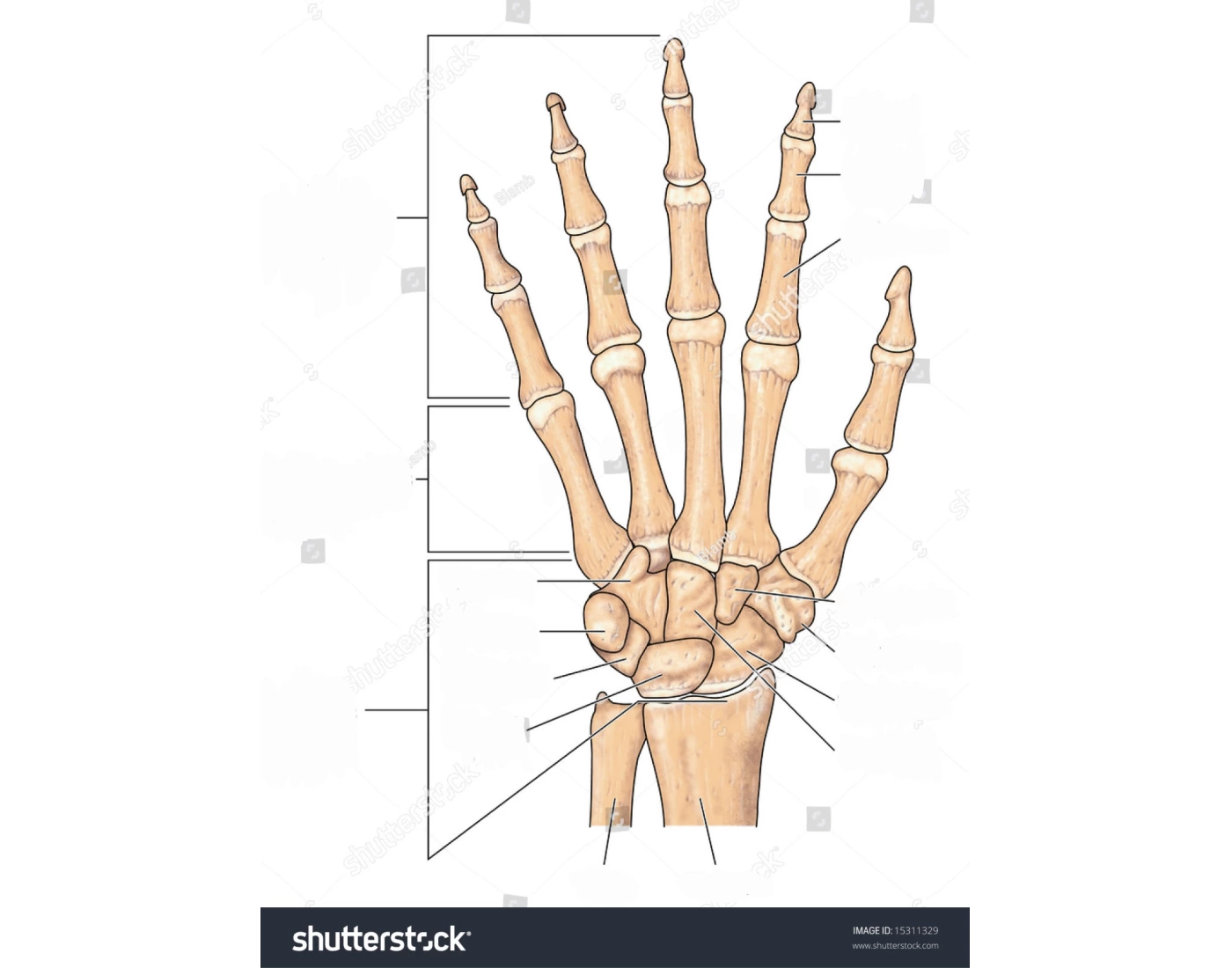 Hand labeled Quiz