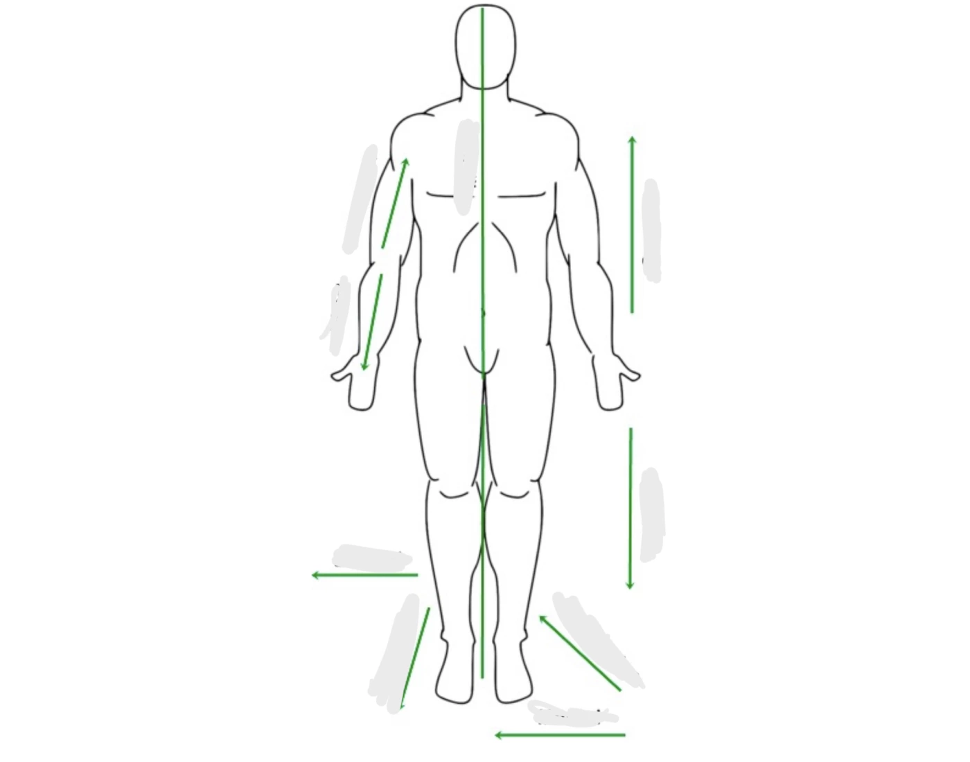 Anatomical directions Quiz