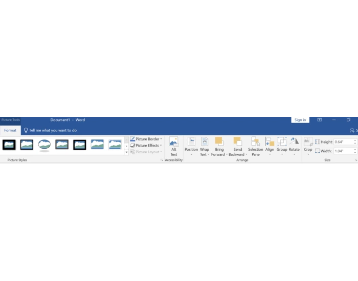 2019 Word Picture Tools Format Ribbon Quiz