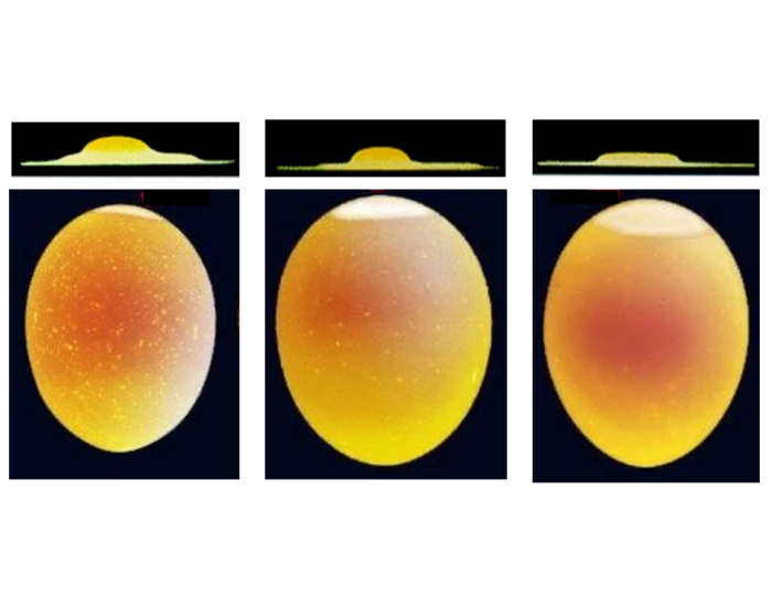 Internal Egg Grading Quiz