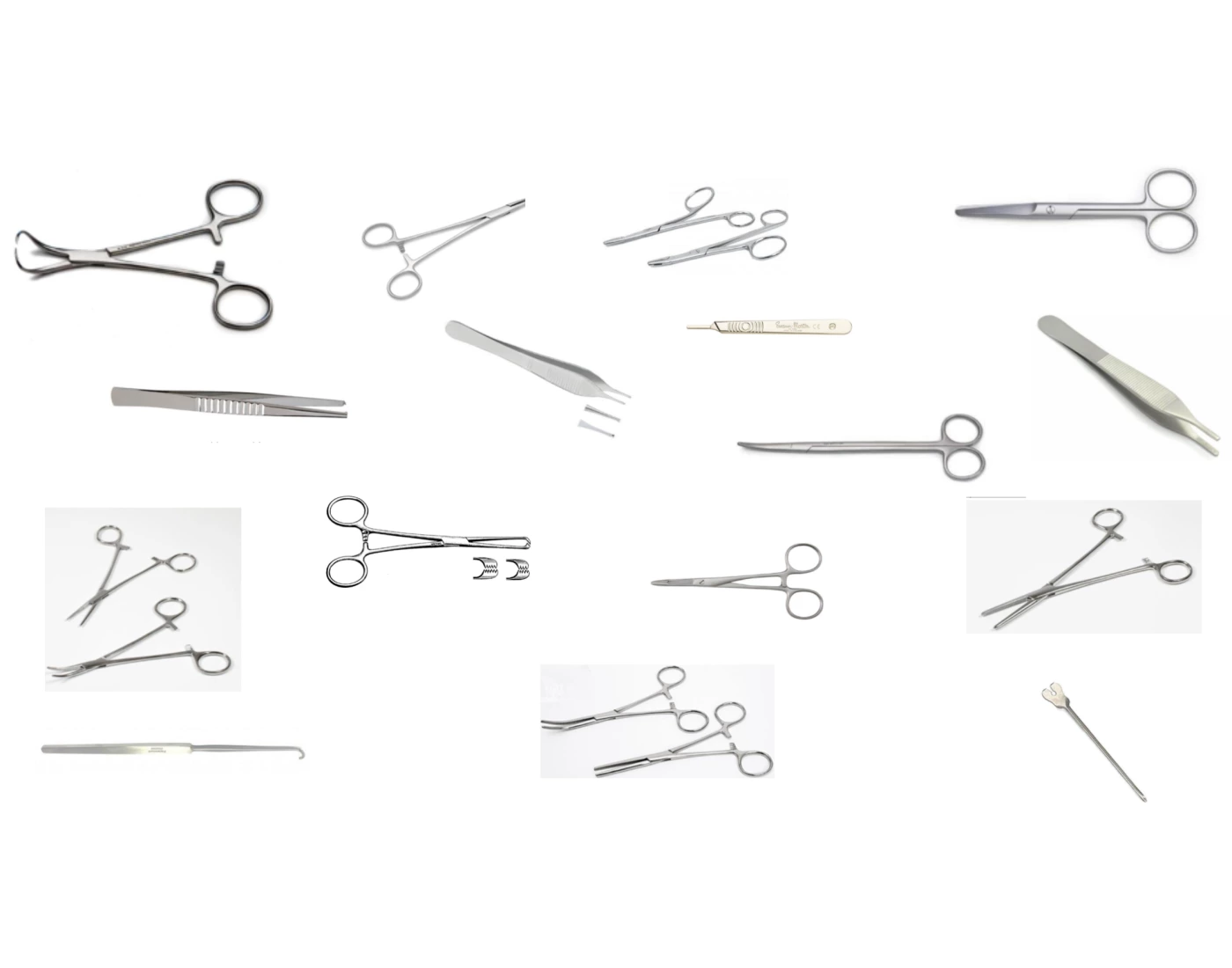 Surgical Tools Worksheet.pdf Surgical Instruments - Veterinary — Printable Worksheet