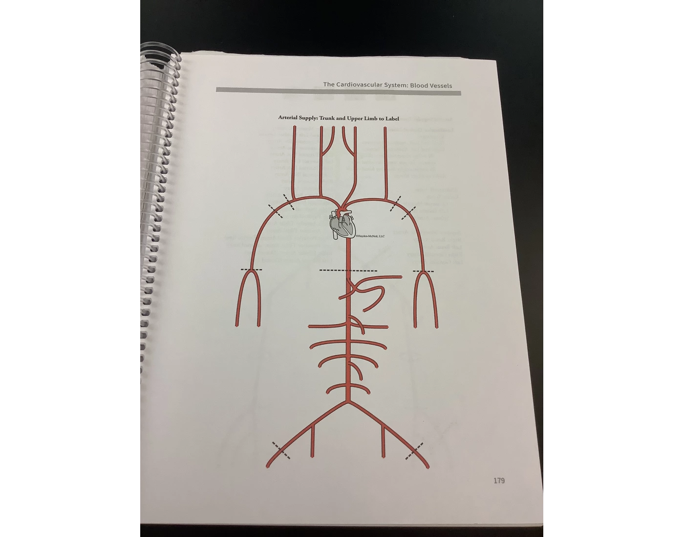Line Map Blood Blood Vessel Maps 3-SUU Quiz