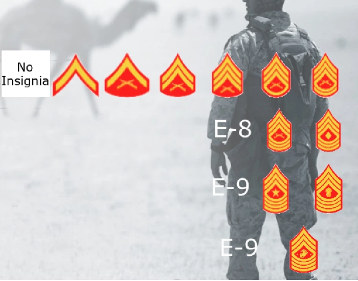 USMC Enlisted Ranks Quiz