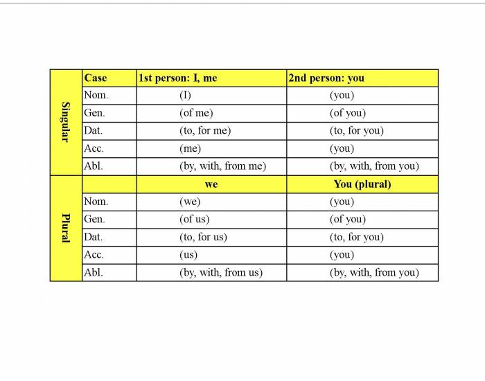 latin-personal-pronouns-1st-2nd-person-printable-worksheet