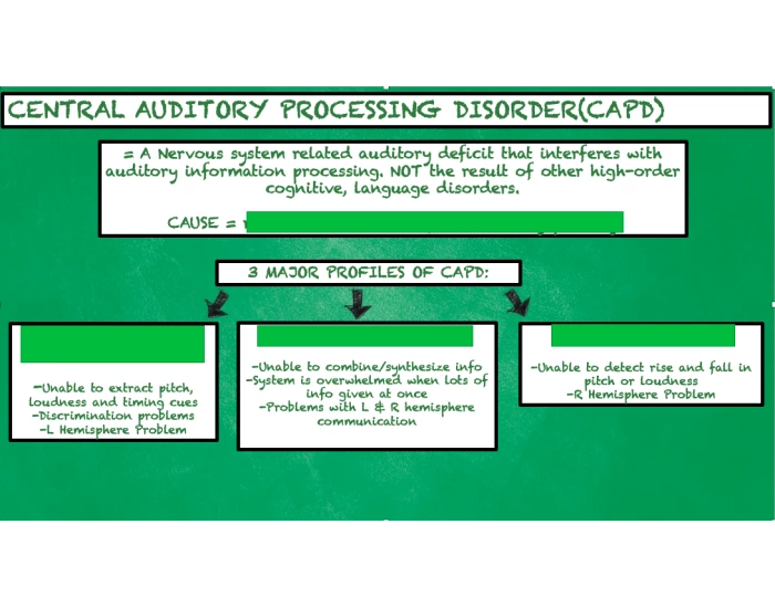 Capd Process Central Auditory Processing Disorder (CAPD) Quiz