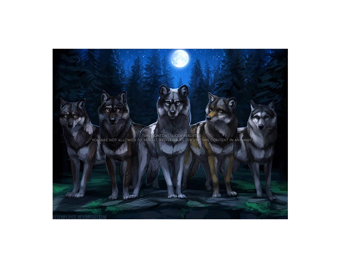 Wolf Pack Ranks Quiz wolf-pack-ranks-quiz