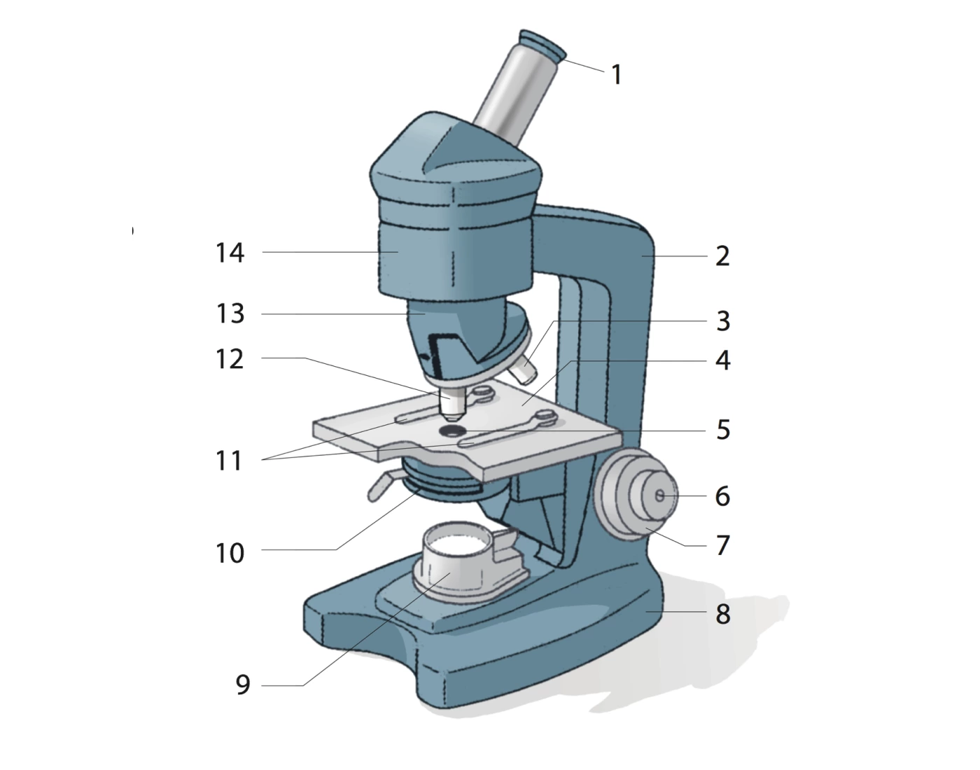 Microscope Parts Quiz Microscope Parts Quiz
