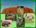 Zvieratá Austrálie _2