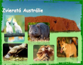 Zvierata Australie_1