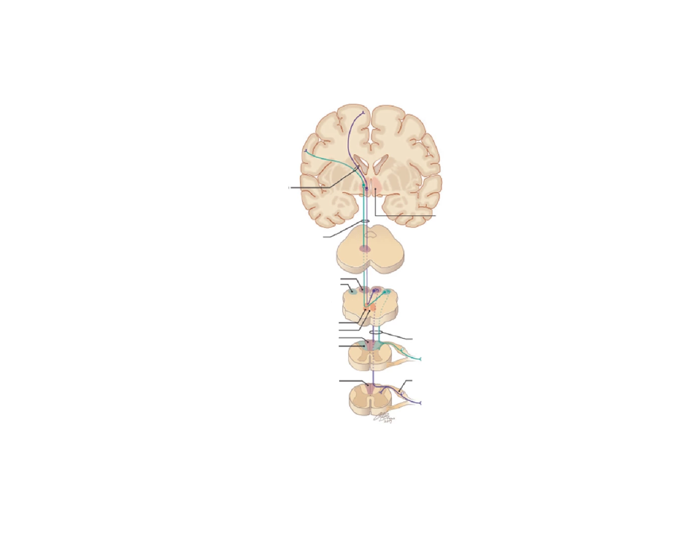 Pathways Quiz