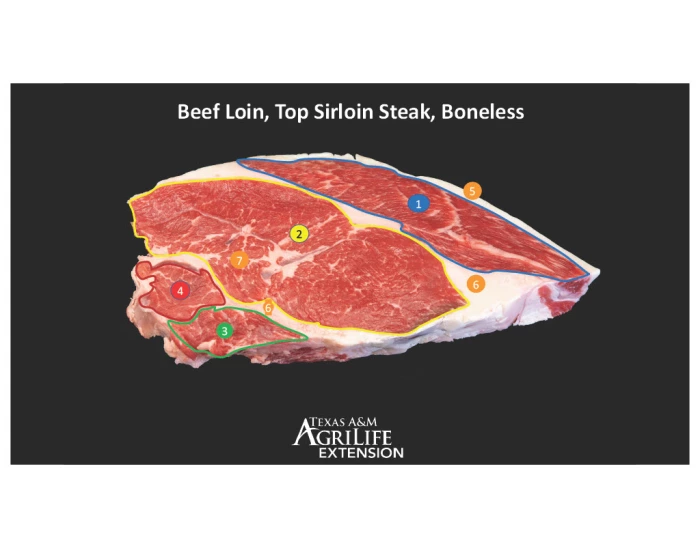 Beef Muscles Development Meats Evaluation (Beef Loin, Boneless) Muscle ID — Printable Worksheet