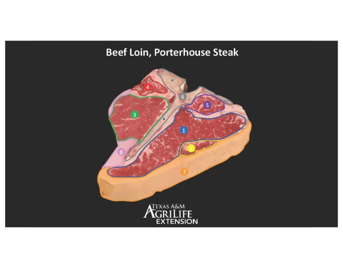 Beef Muscles Development Meats Evaluation (Beef Loin) Muscle ID Quiz