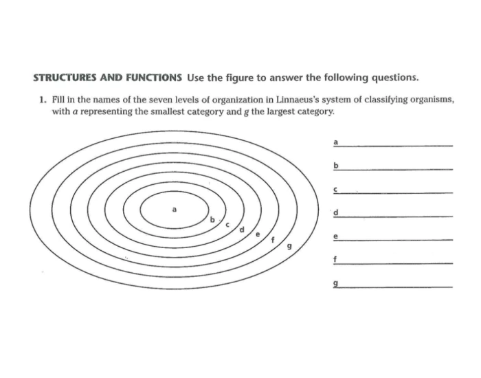 Line Classification Inngmes Linnaeus Classification Quiz