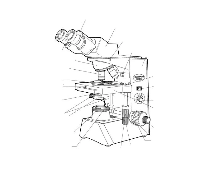 Transparent Microscope Label microscope labels a and p — Printable Worksheet