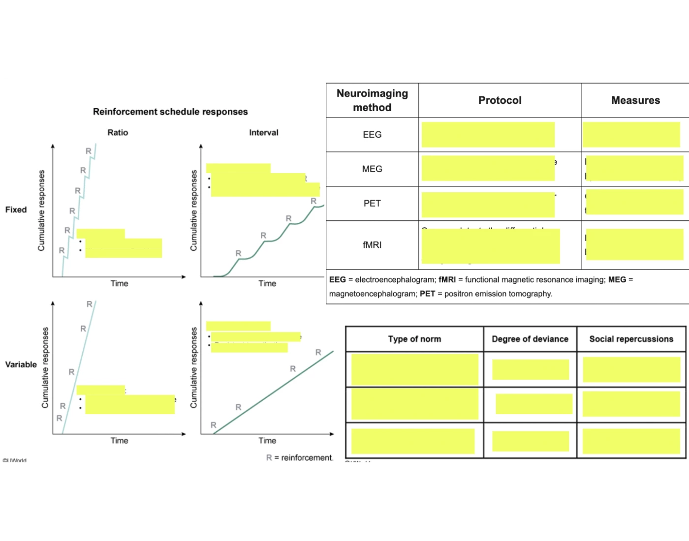 Psych/Soc MCAT Slide 8 Quiz