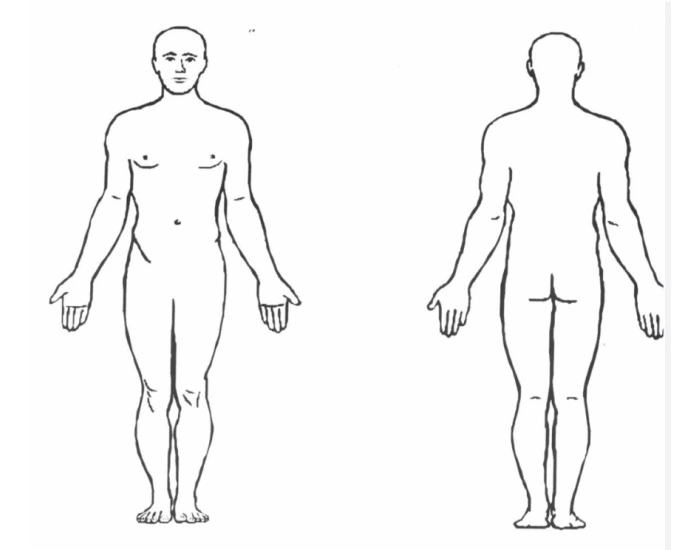 Major Body Regions Quiz Major body regions quiz