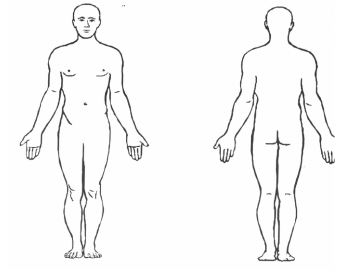 Anatomy Major Body Regions Printable Worksheet anatomy-major-body-regions-printable-worksheet