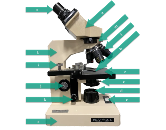 Microscope Labeling Quiz