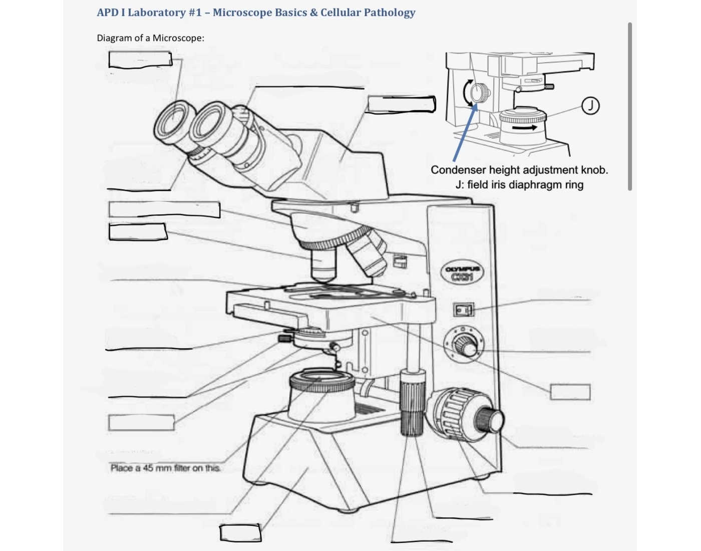 Label that Microscope! Quiz