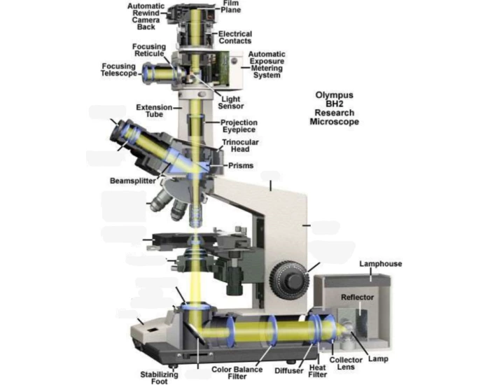 Trace evidence microscope — Printable Worksheet