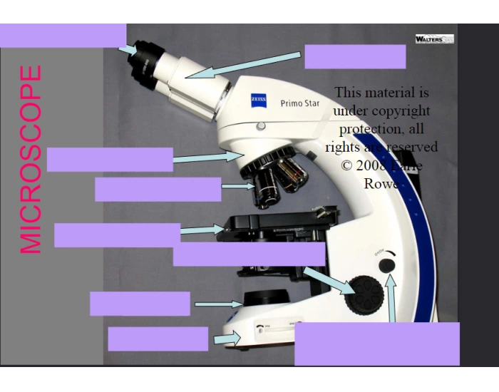 Labeling Microscope (1) Quiz