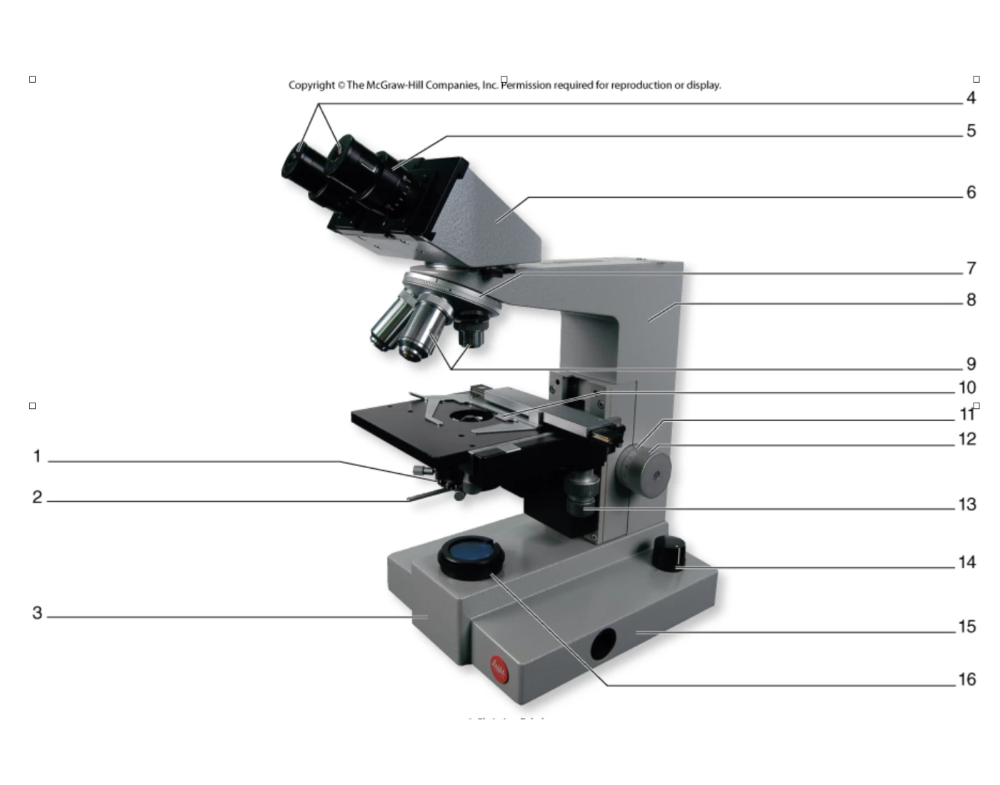 Name the parts of a Light Compound Microscope Quiz