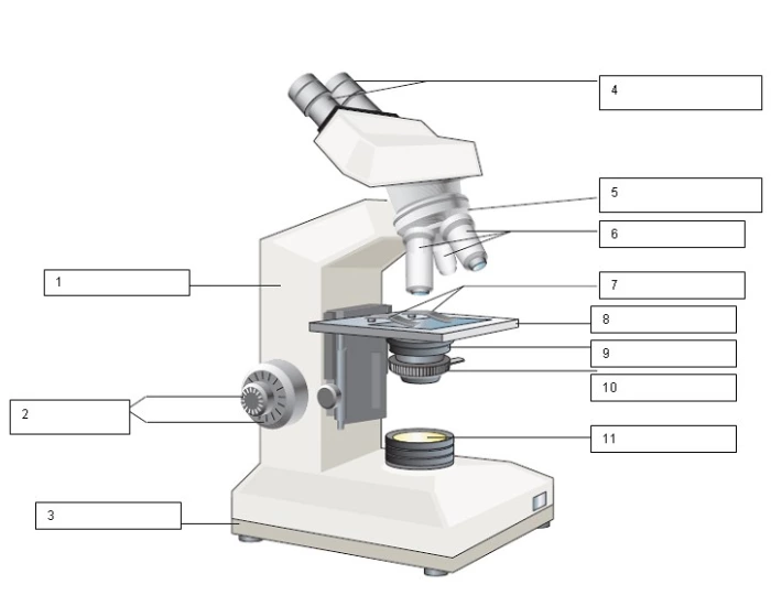 Microscope Labelling Game