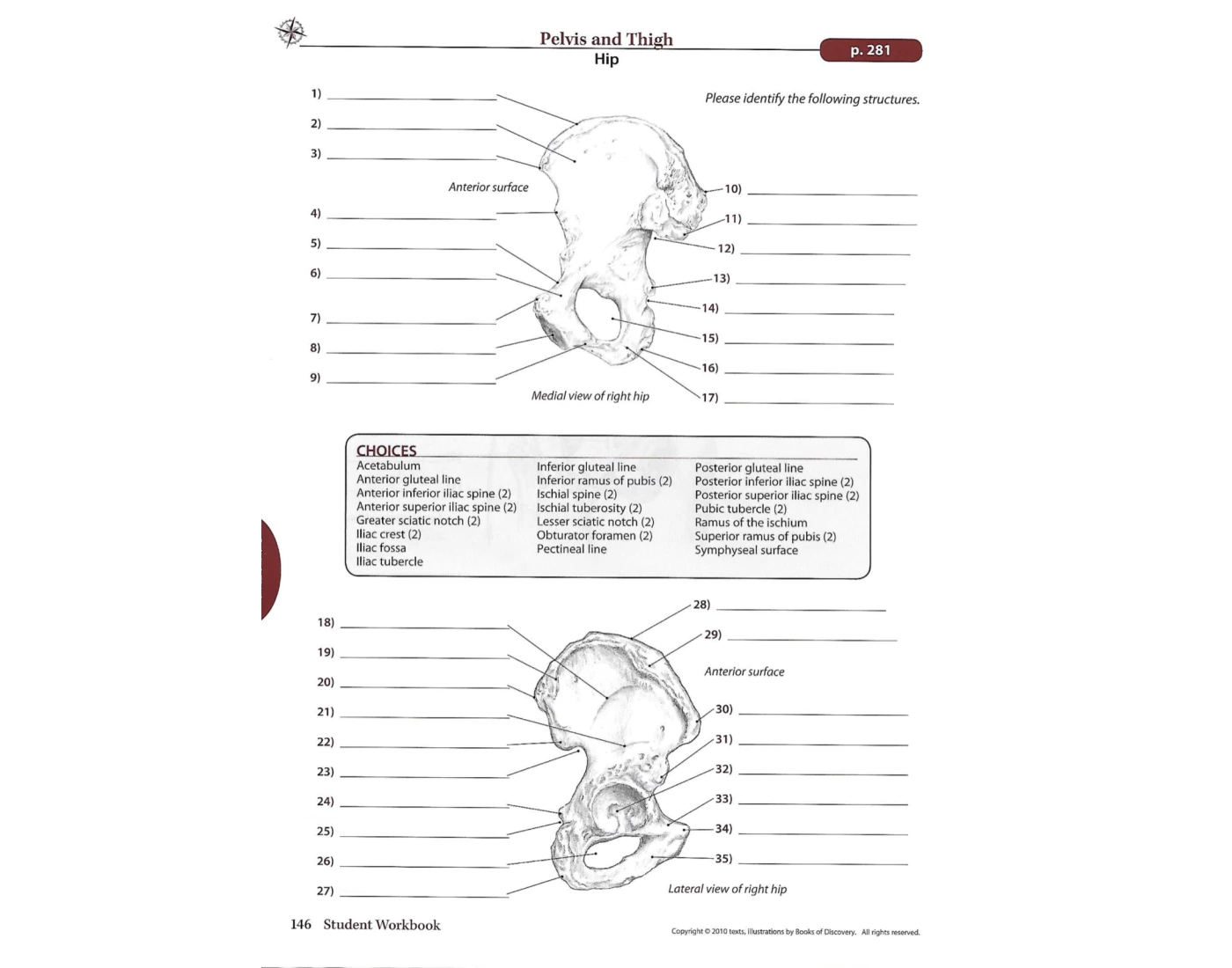 bony-landmarks-of-the-pelvis-quiz