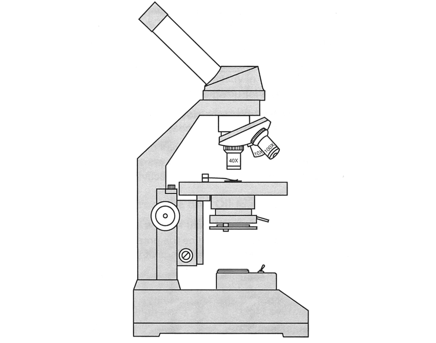 Label Microscope Quiz