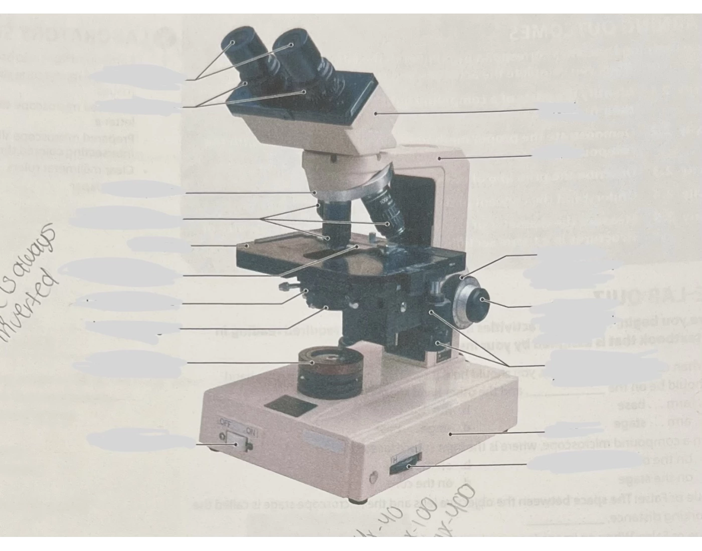 Microscope Labeling Quiz