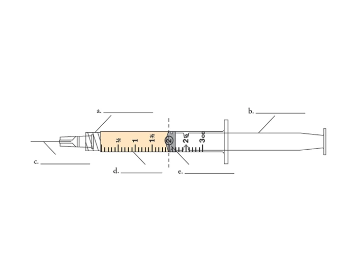 Inject Label Syringe Label Quiz