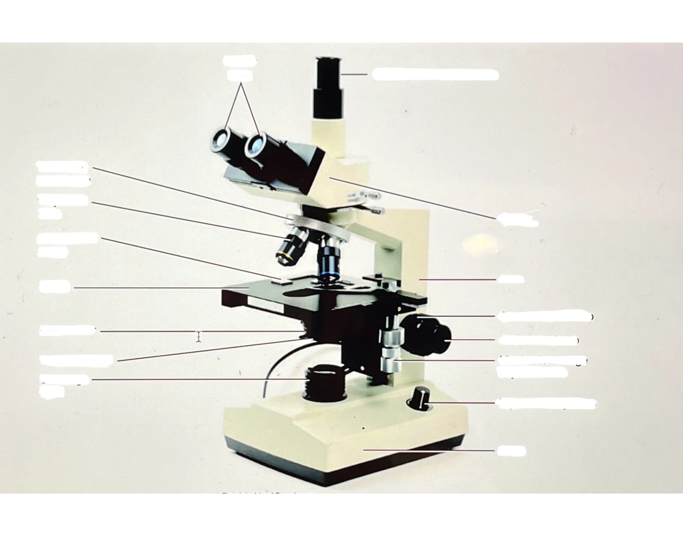 Microscope Labeling Quiz