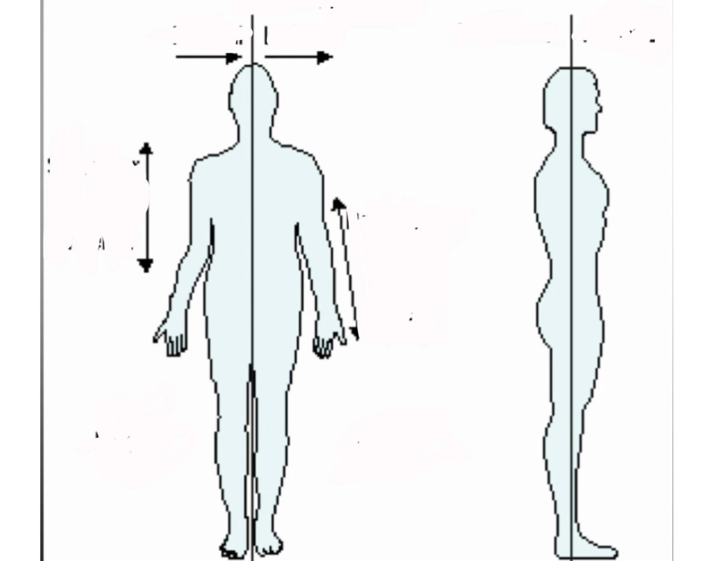 Anatomical Directions Quiz