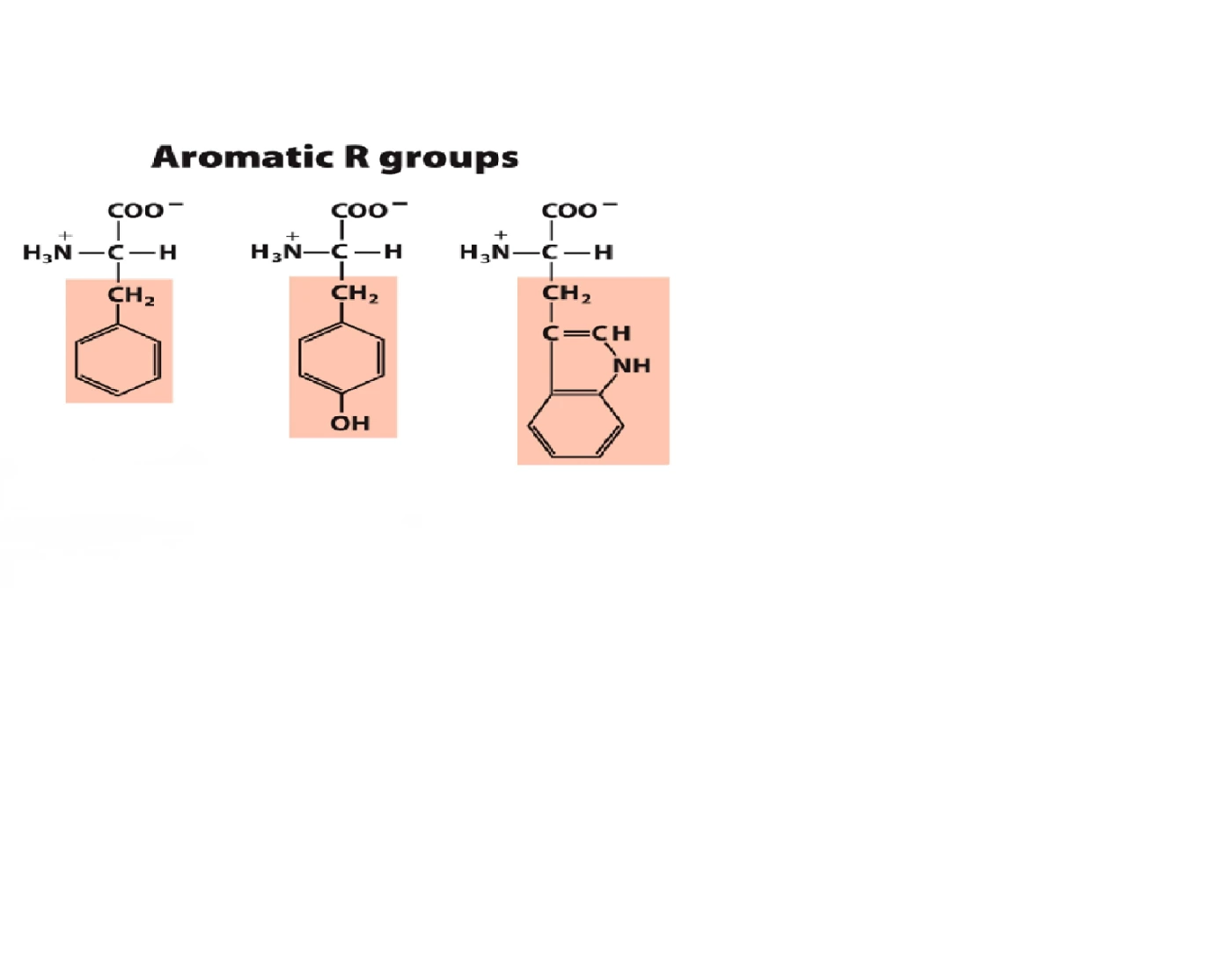 20 Kinds R Group Aromatic R groups Quiz