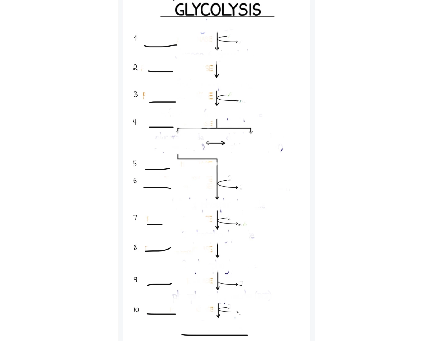 glycolysis Quiz