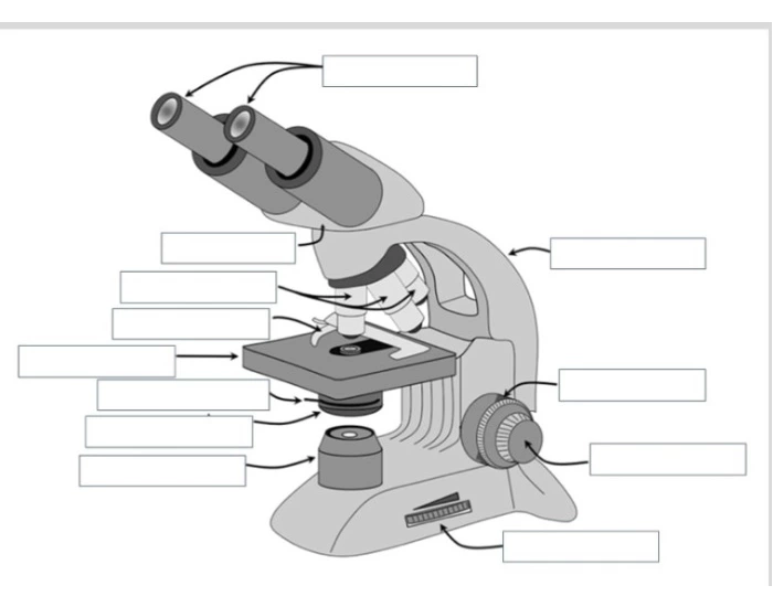 Label Microscope Quiz